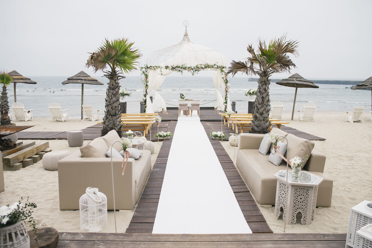 Pedro Pinto Fotografia