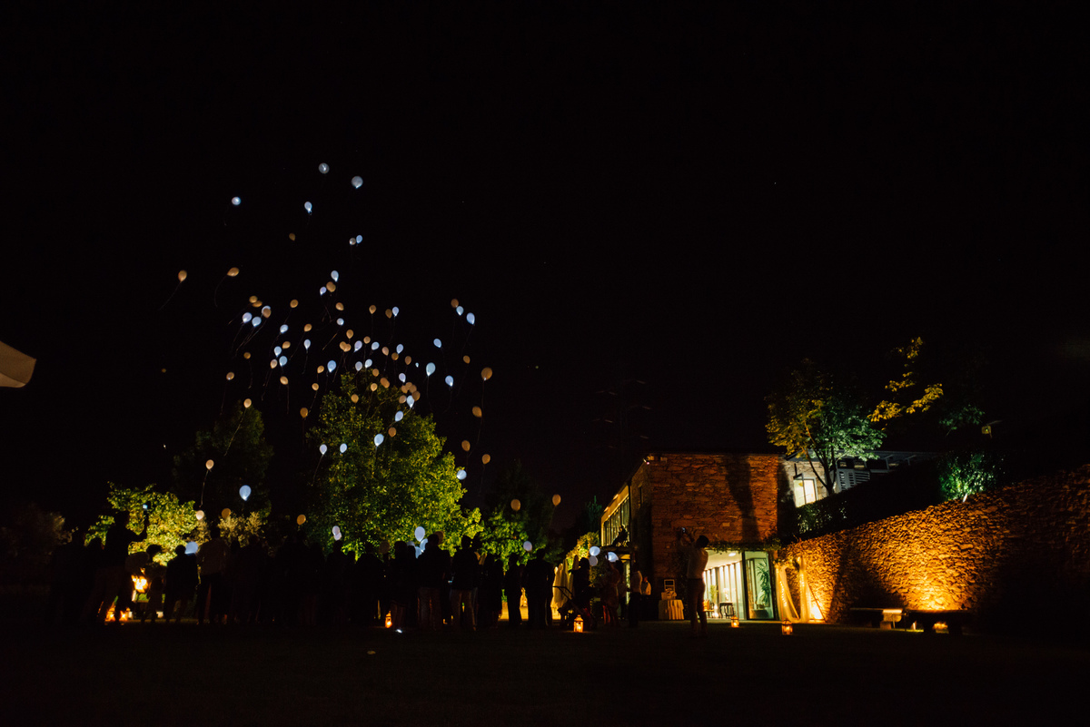 Pedro Pinto Fotografia