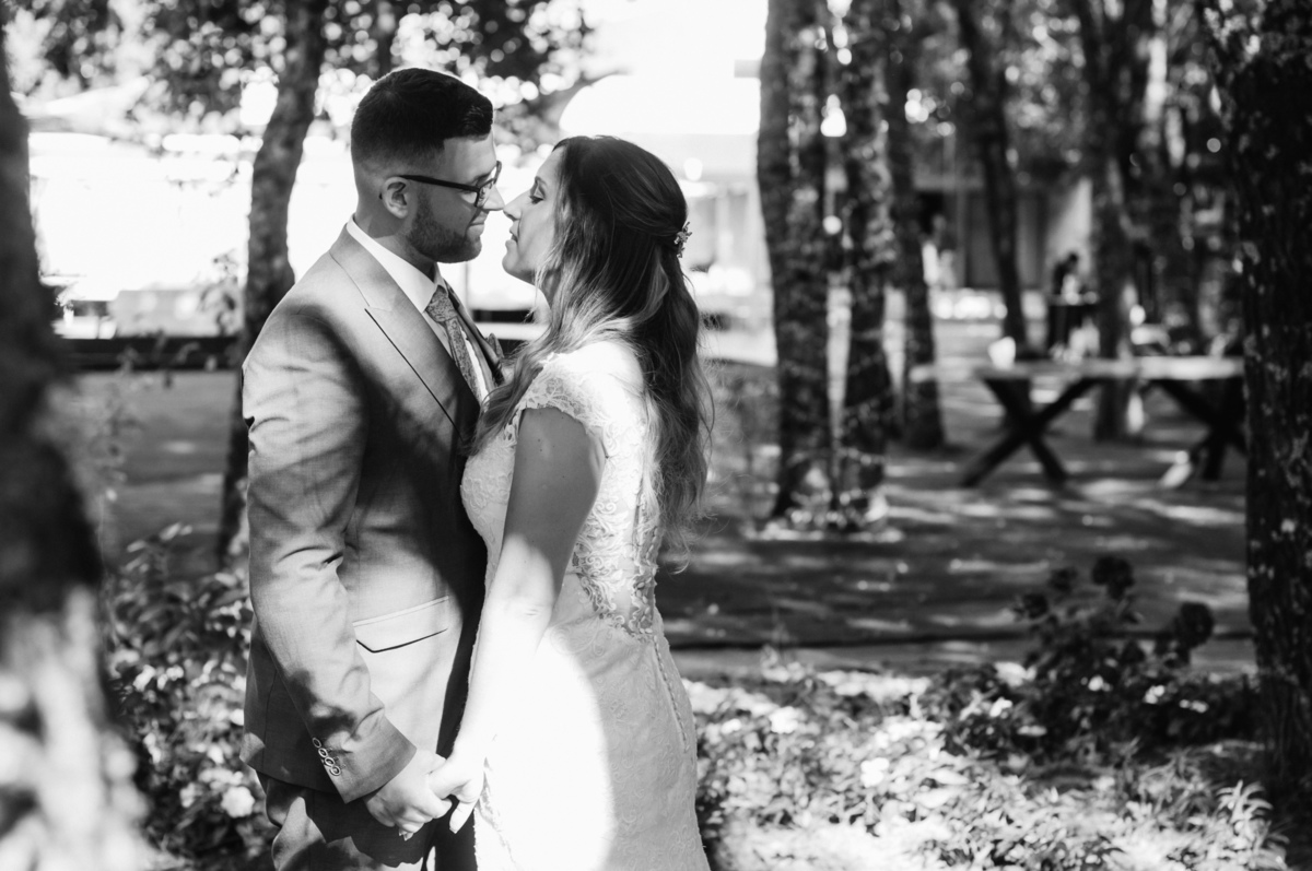 Pedro Pinto Fotografia