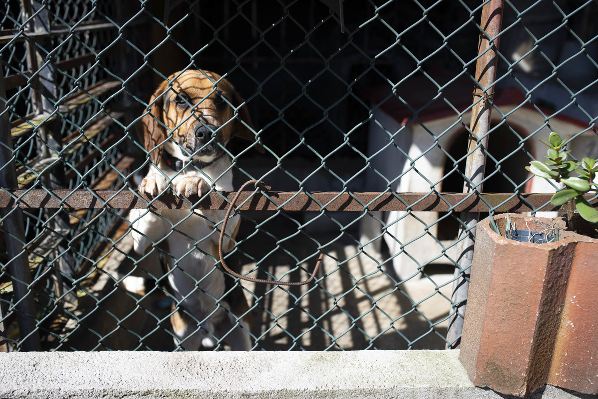 Pedro Pinto Fotografia