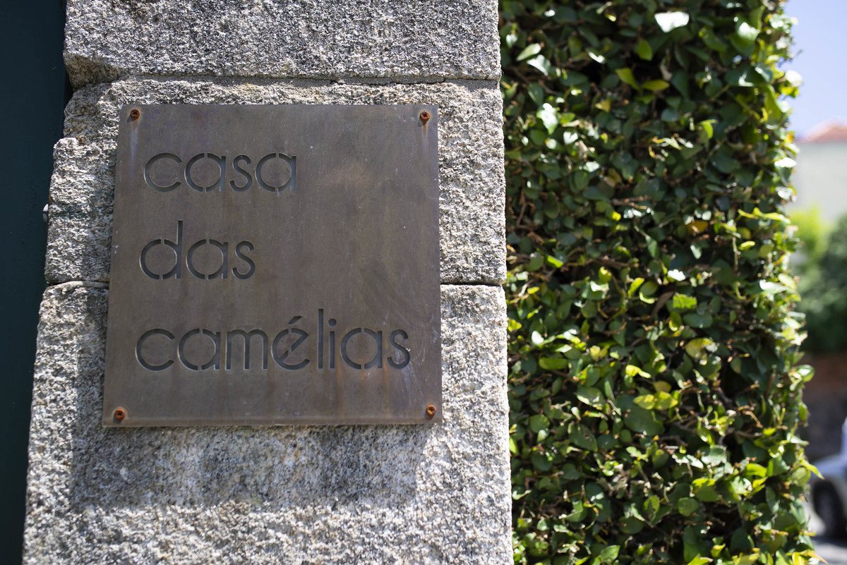 Pedro Pinto Fotografia