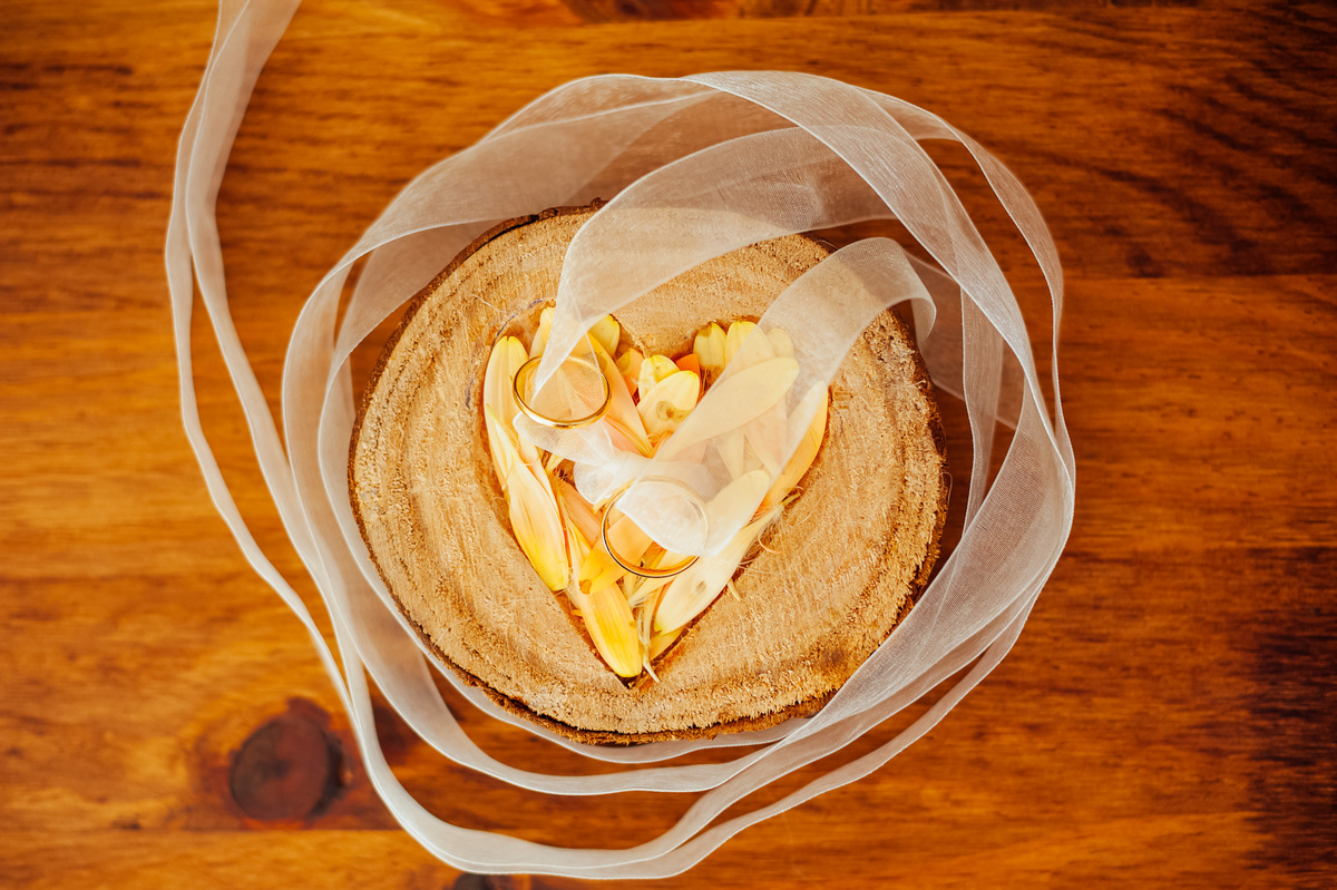 Pedro Pinto Fotografia