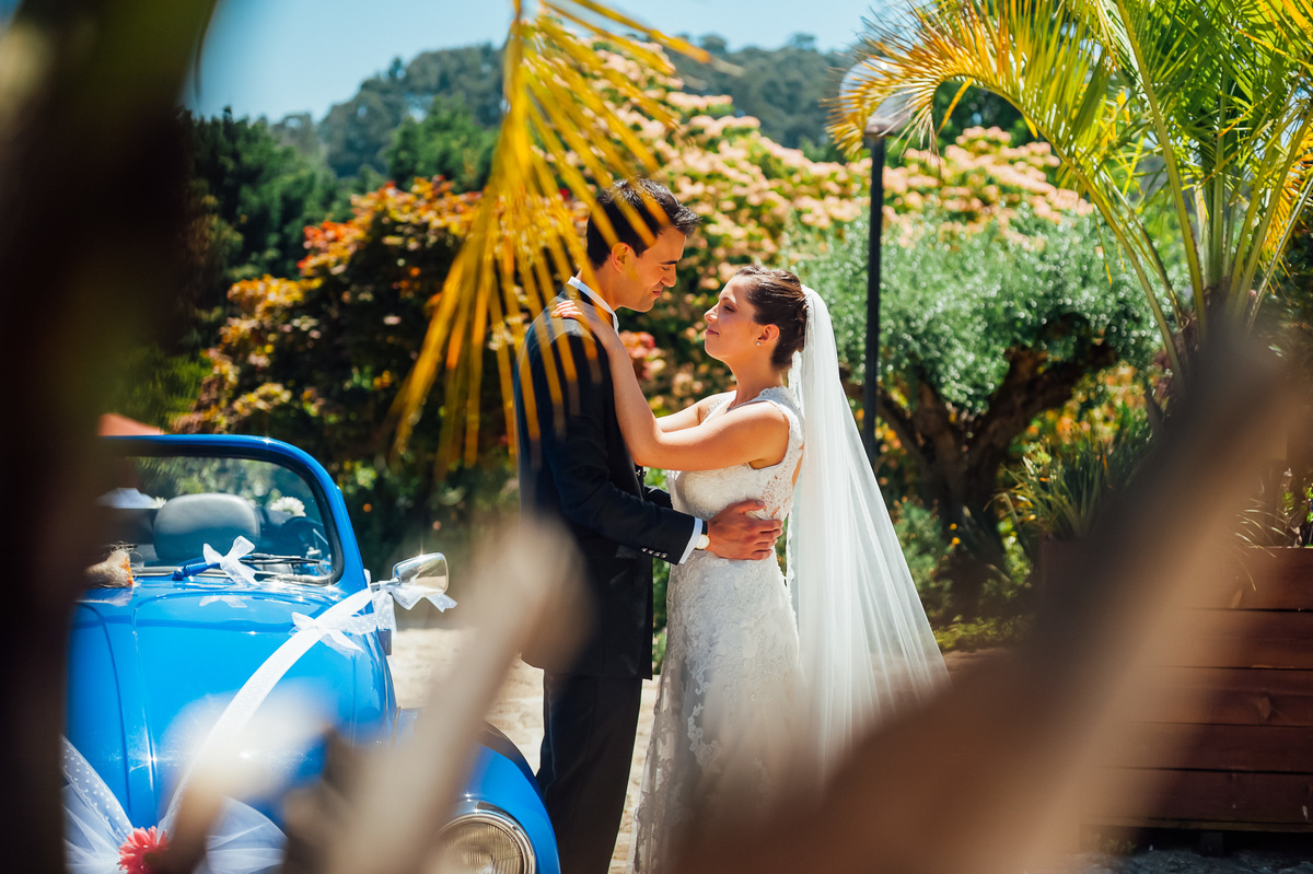 Pedro Pinto Fotografia