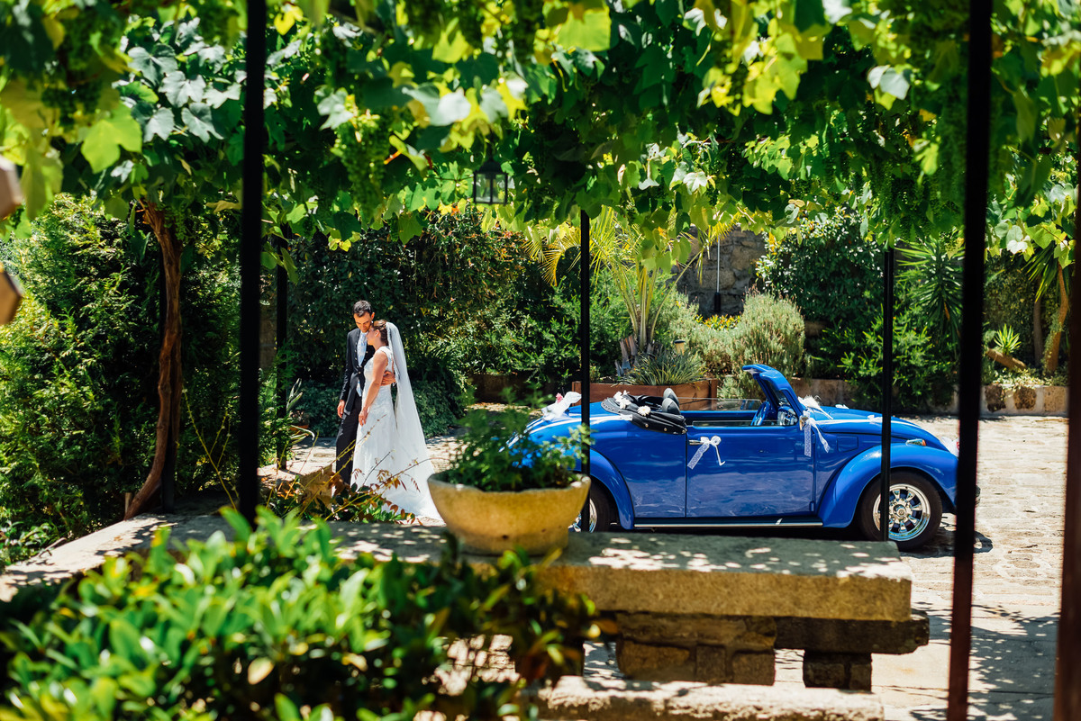 Pedro Pinto Fotografia