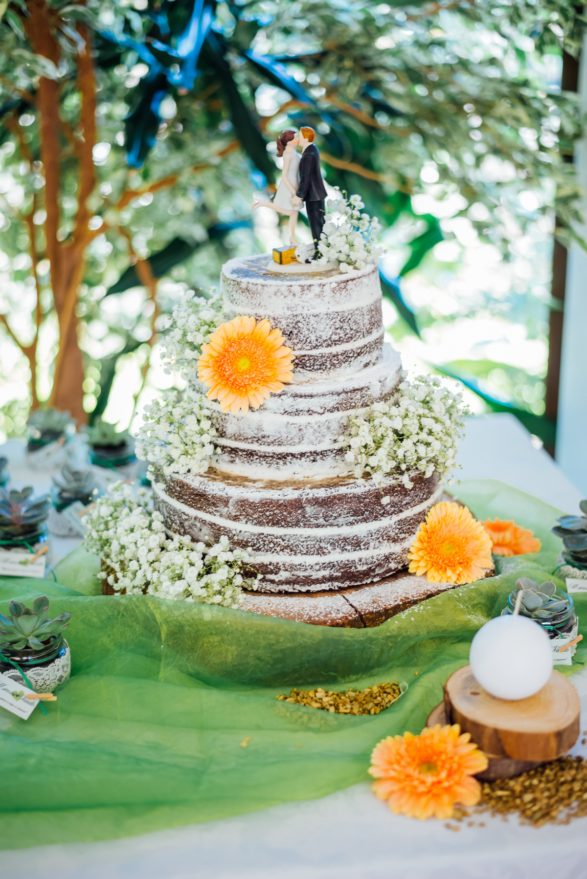 Pedro Pinto Fotografia