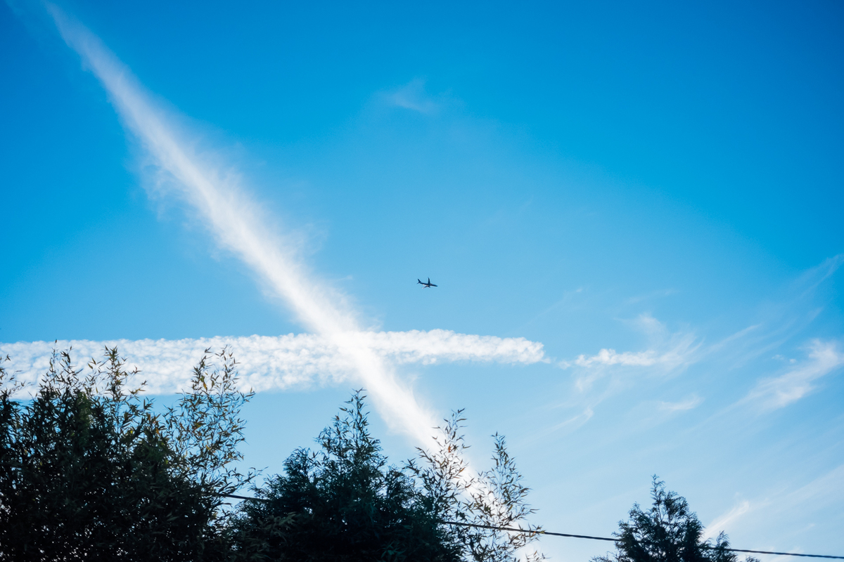 Pedro Pinto Fotografia