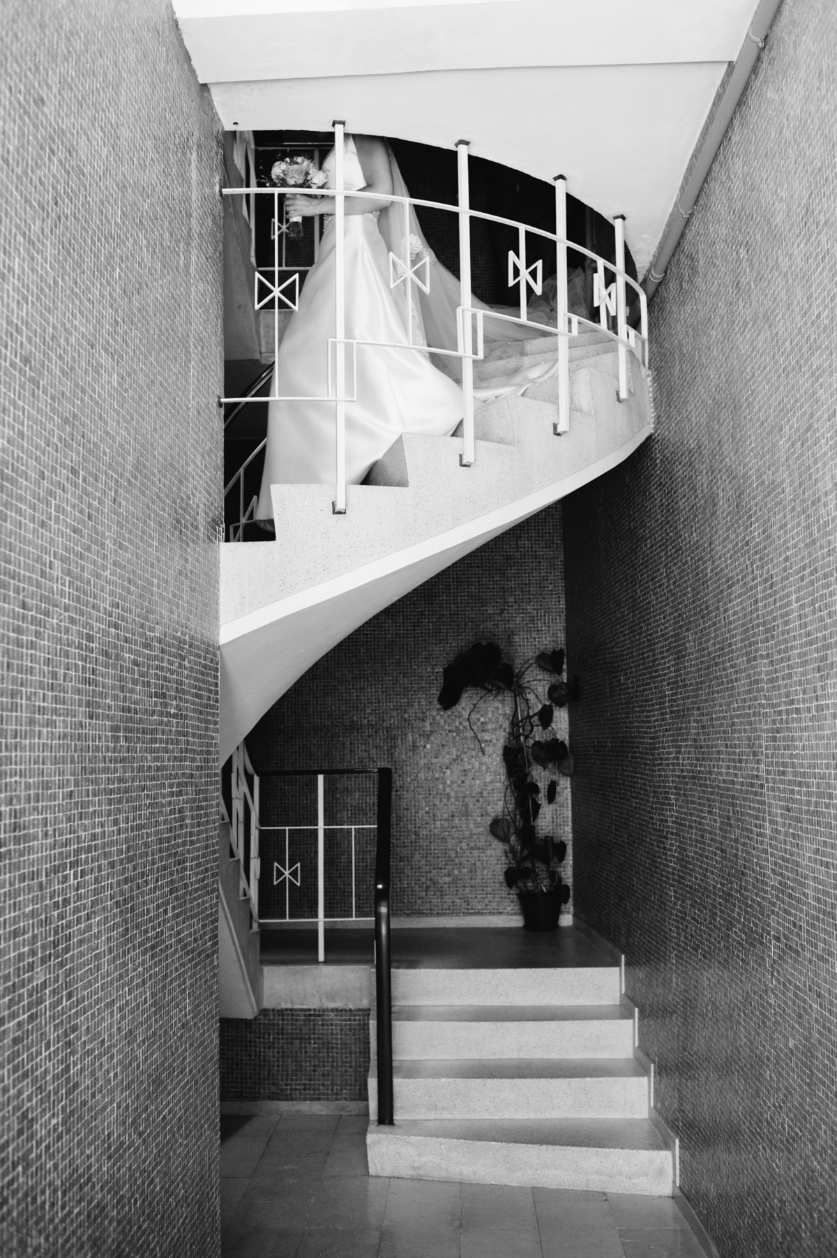 Pedro Pinto Fotografia