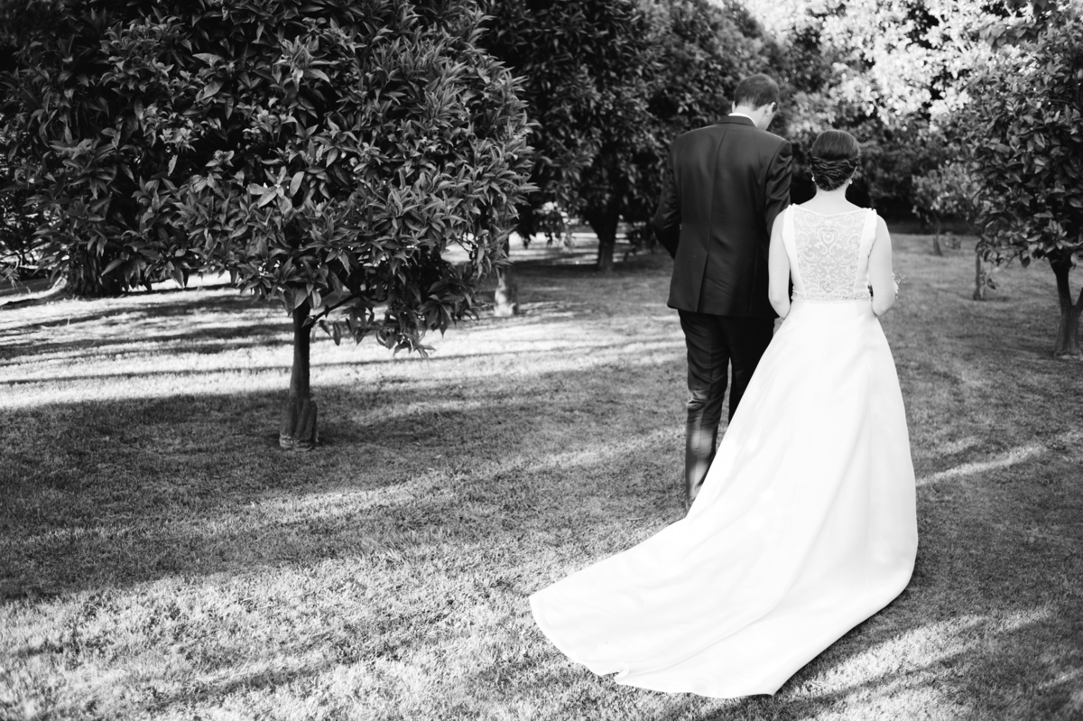 Pedro Pinto Fotografia