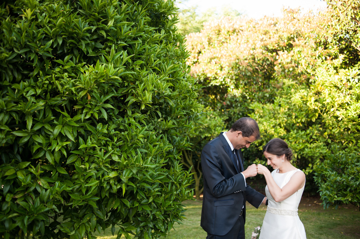 Pedro Pinto Fotografia