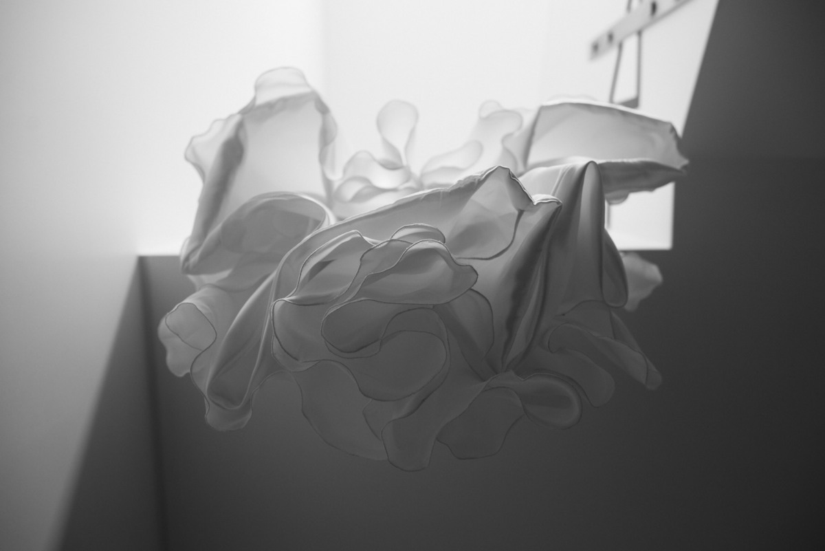 Pedro Pinto Fotografia