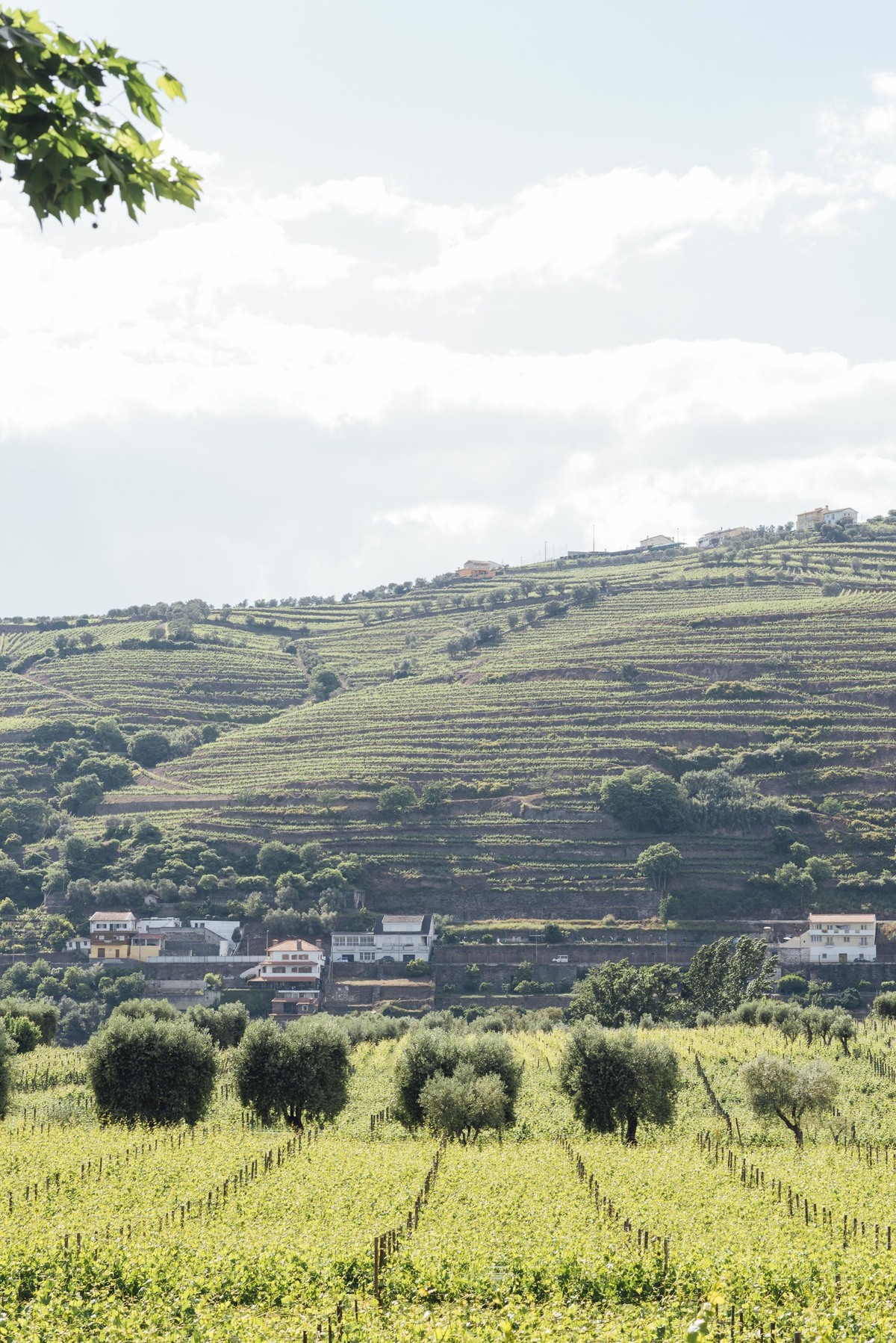 Casamento Bruna e Justino
