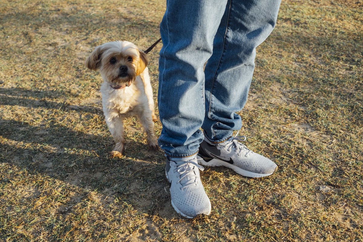 Sessão de Gravidez - Ana e Nelson