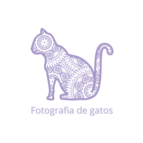 Logotipo de RAFAELLA STALLONE