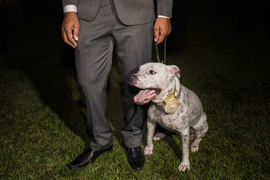 momentos antes de entrar na cerimônia Daniel e sua cachorra Jolie levando as alianças