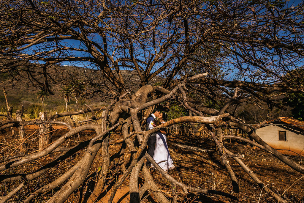 um linda e longa raiz de uma árvore forma a moldura para a linda foto desse casal