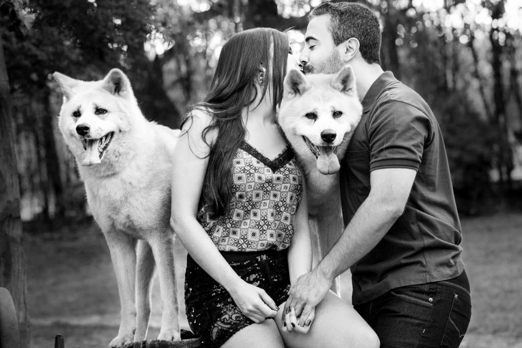 o beijo de henrique e rafaela e separado pelos seus akitas, foram através dos akitas que se conheceram