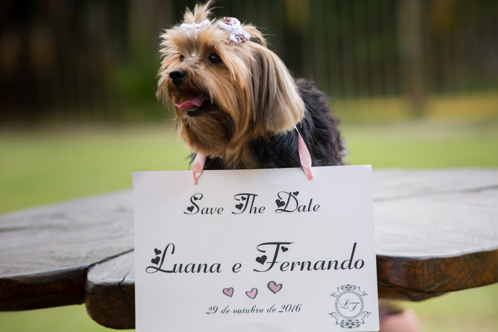 a cachorrinha do casal luana e fernando com a plaquinha do Save the date