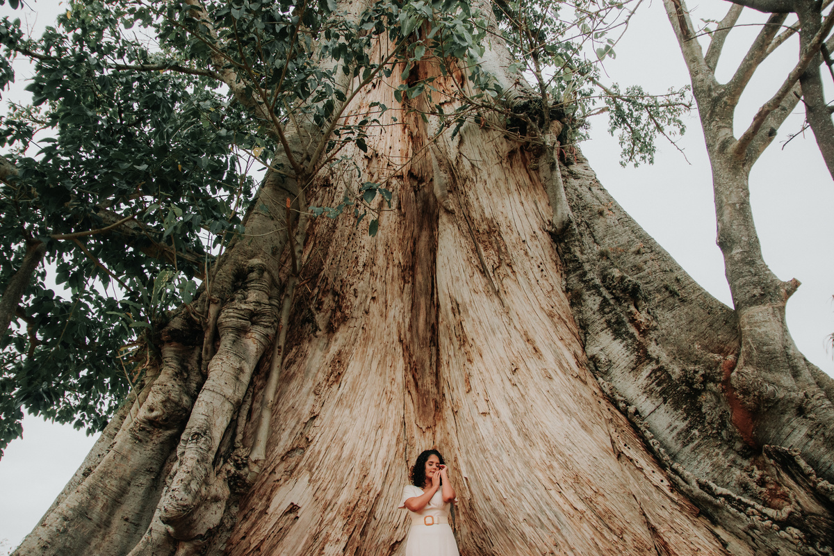 árvore-terapia-holística-rodrigo-bahia-fotógrafo-de-família-de-mogi-guaçu.jpg