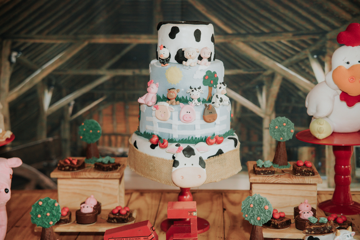 mesa-de-bolo-festa-infantil-tema-fazendinha-rodrigo-bahia-fotógrafo-de-familia-de-mogi-guaçu.jpg