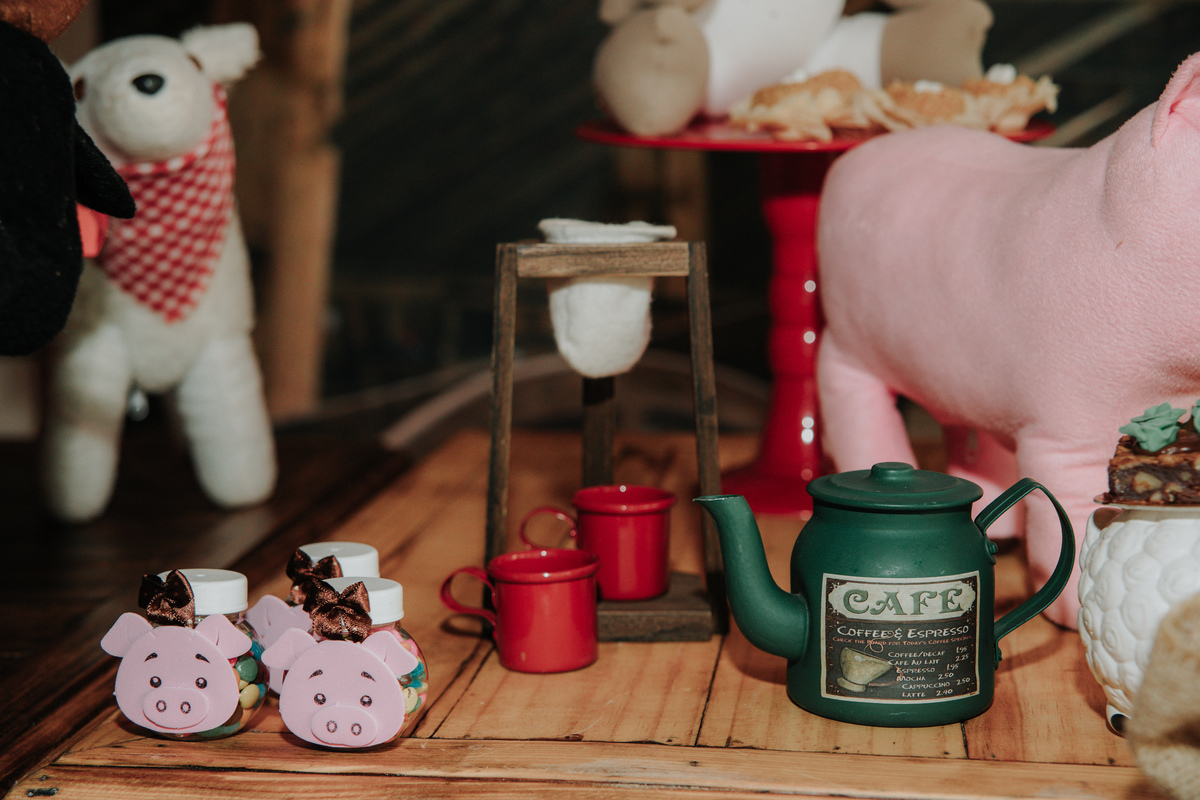 mesa-de-bolo-festa-infantil-tema-fazendinha-rodrigo-bahia-fotógrafo-de-familia-de-mogi-guaçu.jpg