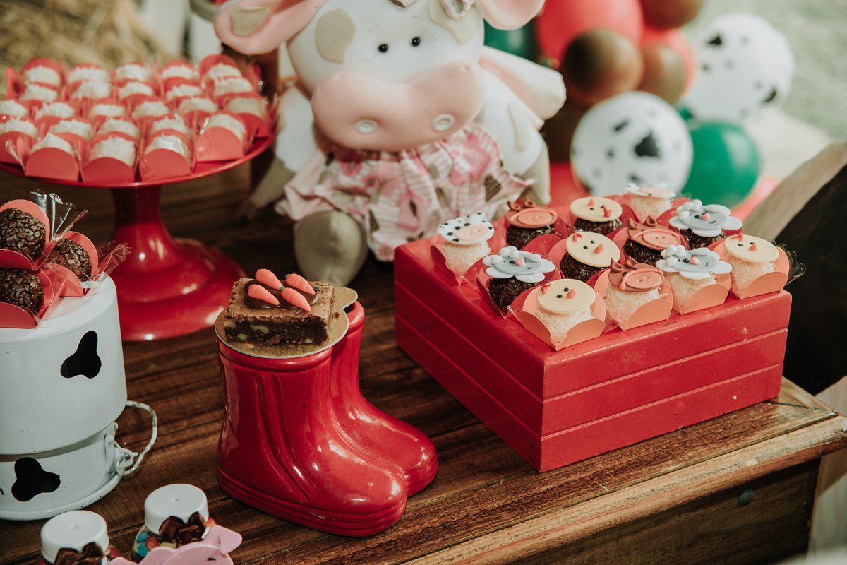 mesa-de-bolo-festa-infantil-tema-fazendinha-rodrigo-bahia-fotógrafo-de-familia-de-mogi-guaçu.jpg