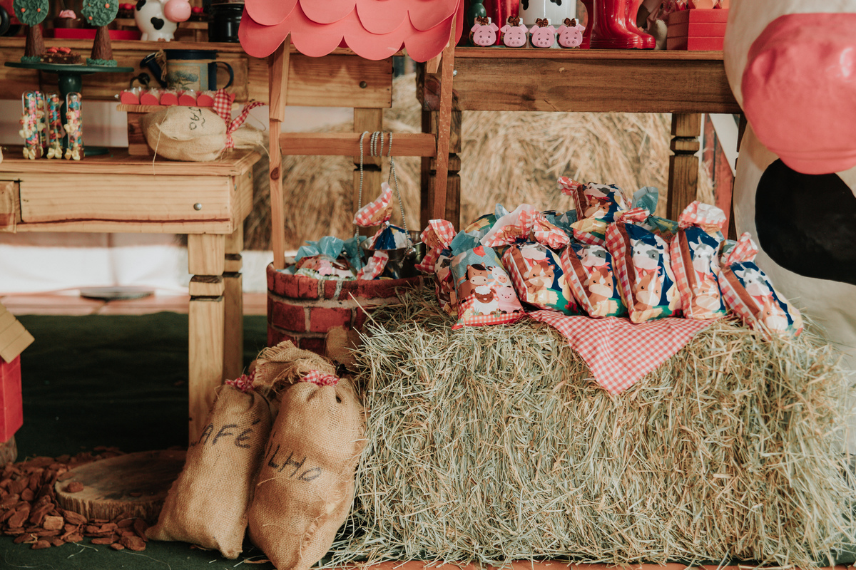 mesa-de-bolo-festa-infantil-tema-fazendinha-rodrigo-bahia-fotógrafo-de-familia-de-mogi-guaçu.jpg