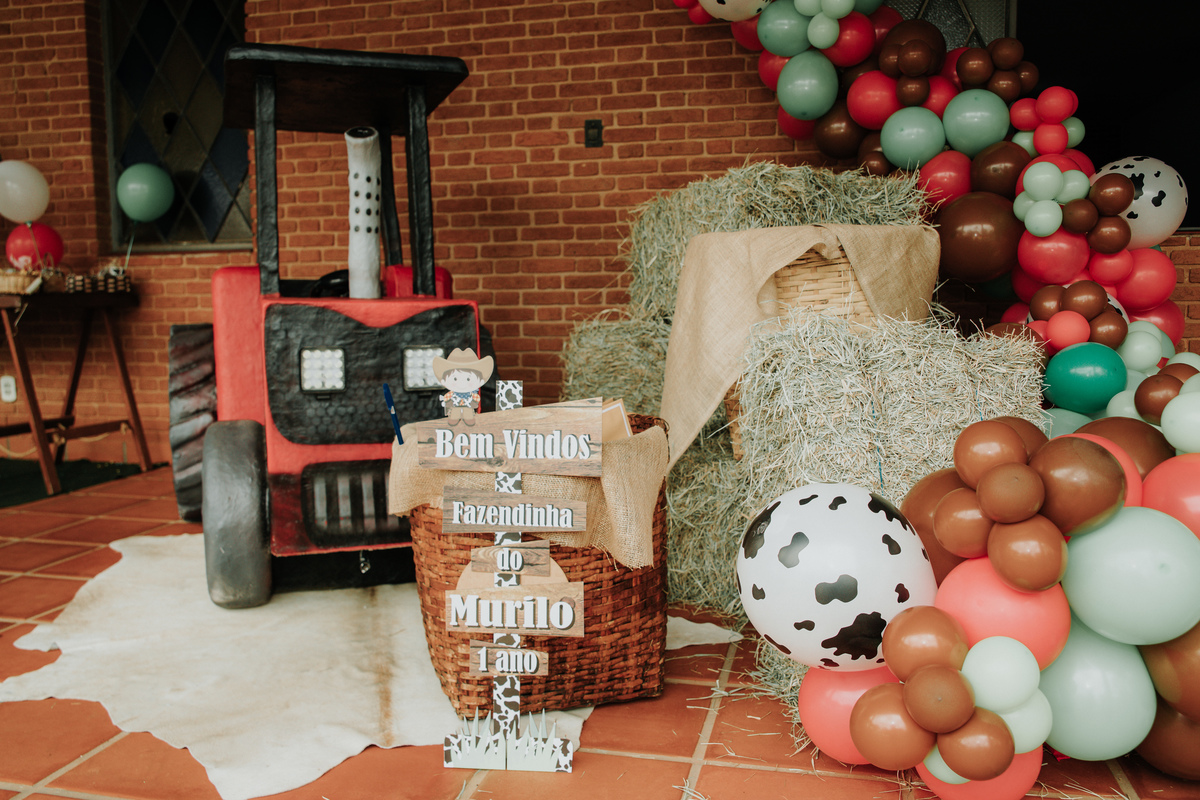 mesa-de-bolo-festa-infantil-tema-fazendinha-rodrigo-bahia-fotógrafo-de-familia-de-mogi-guaçu.jpg