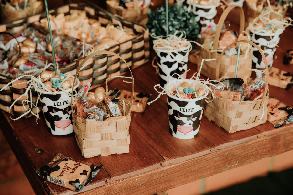 mesa-de-bolo-festa-infantil-tema-fazendinha-rodrigo-bahia-fotógrafo-de-familia-de-mogi-guaçu.jpg