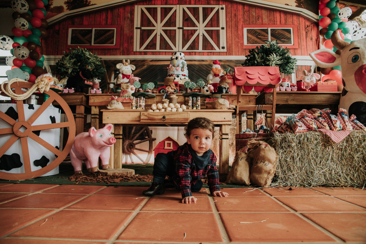 criança-festa-infantil-tema-fazendinha-rodrigo-bahia-fotógrafo-de-familia-de-mogi-guaçu.jpg