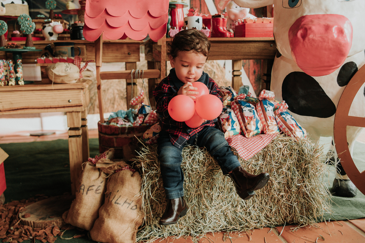 criança-festa-infantil-tema-fazendinha-rodrigo-bahia-fotógrafo-de-familia-de-mogi-guaçu.jpg