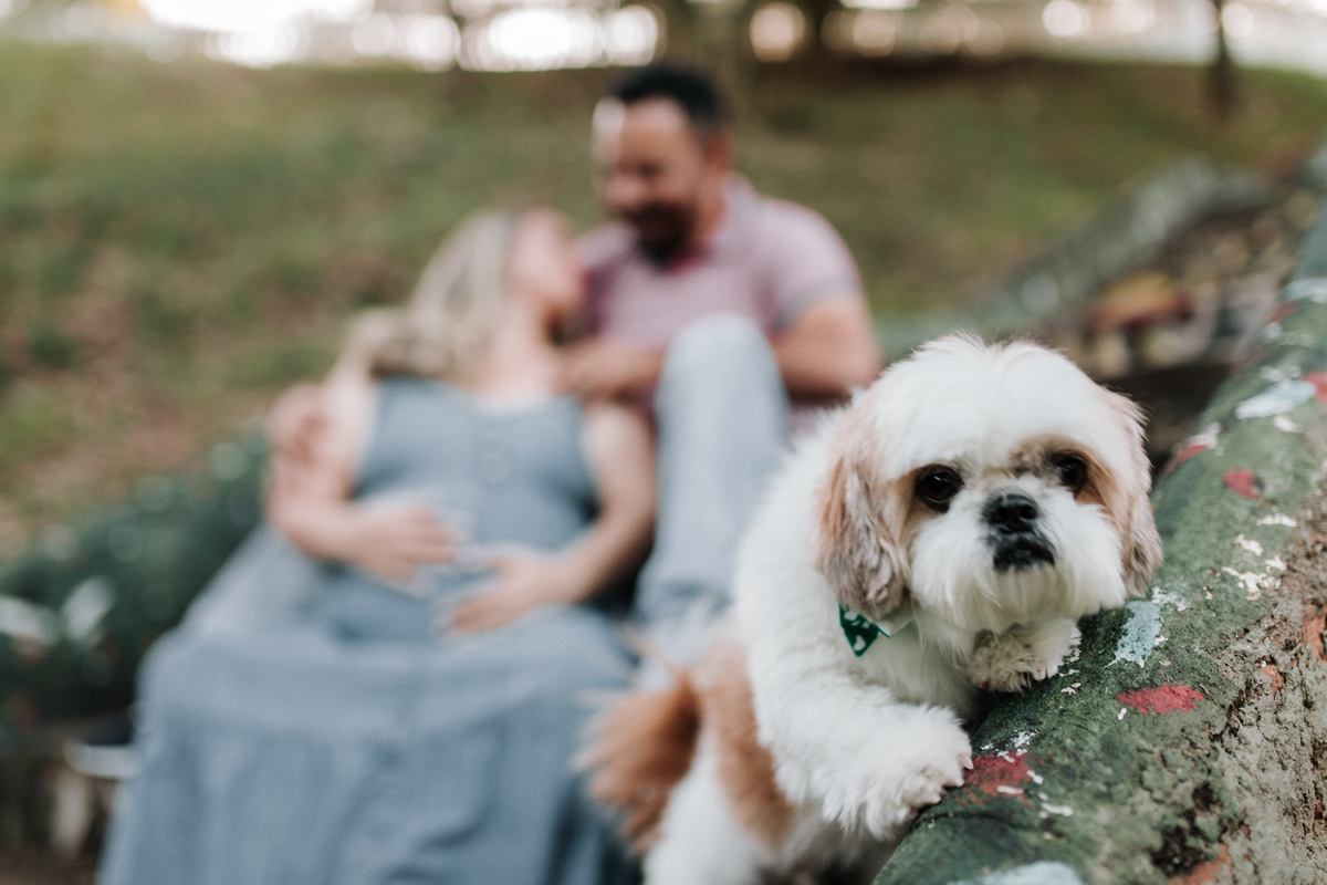 ensaio-gestante-com-cachorro-rodrigo-bahia-fotógrafo-mogi-guaçu.jpg