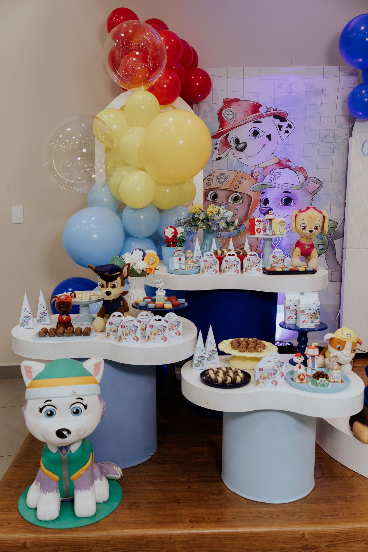 fotografo-aniversario-infantil-mogi-guacu.jpg