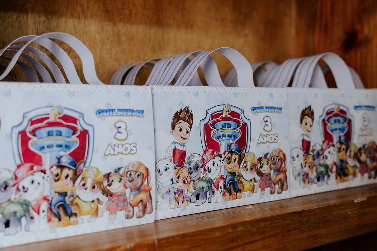 fotografia-aniversario-infantil-mogi-guacu.jpg
