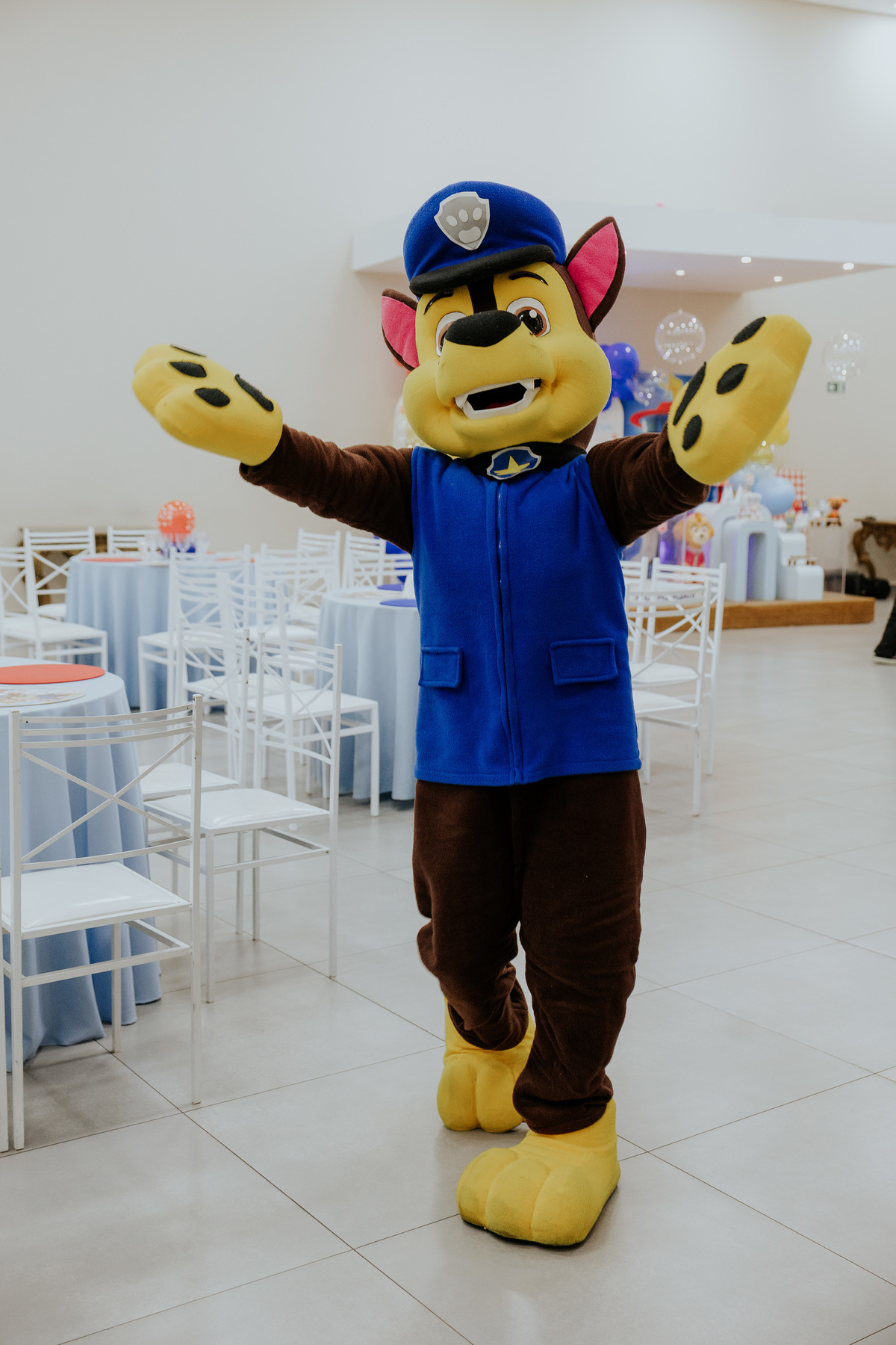 fotografia-aniversario-infantil-mogi-guacu.jpg
