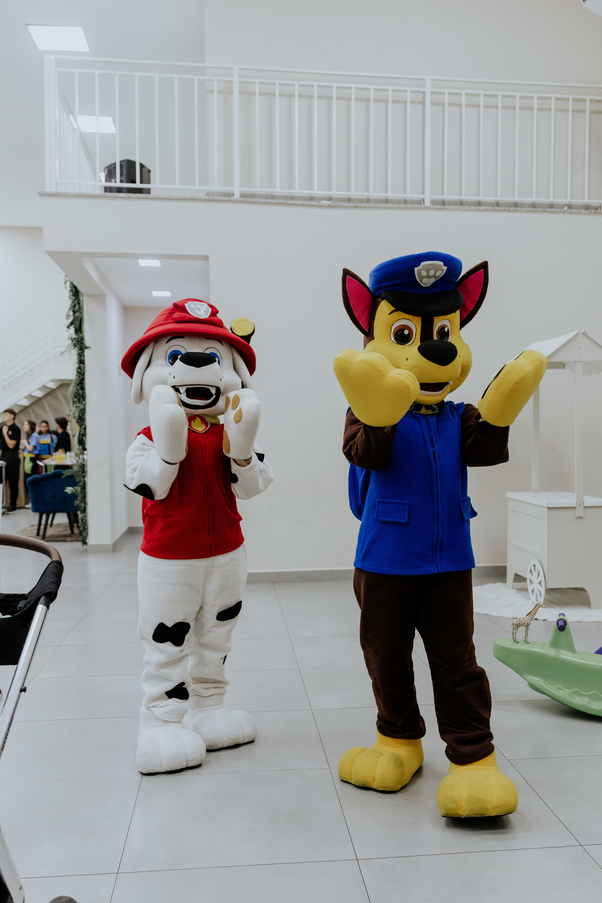 fotografia-aniversario-infantil-mogi-guacu.jpg