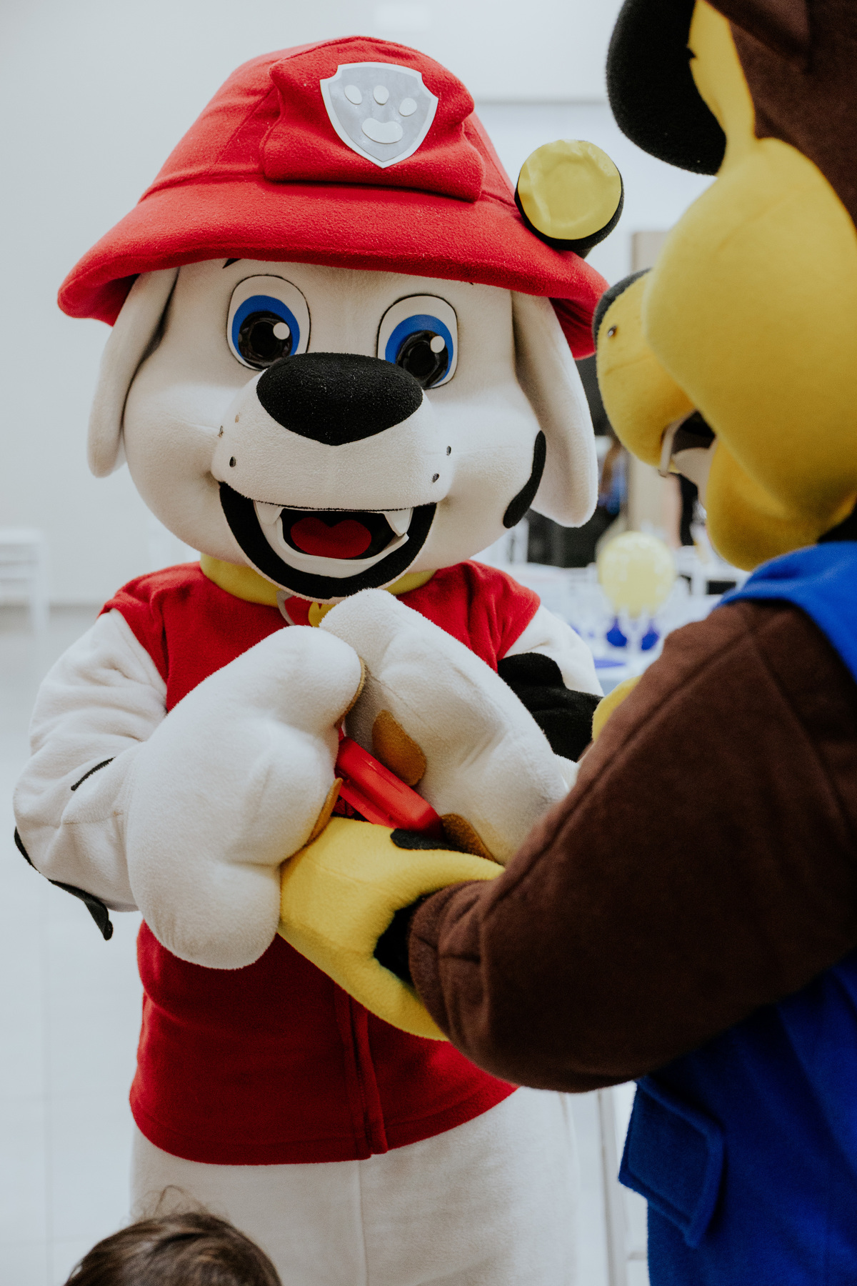 fotografia-aniversario-infantil-mogi-guacu.jpg