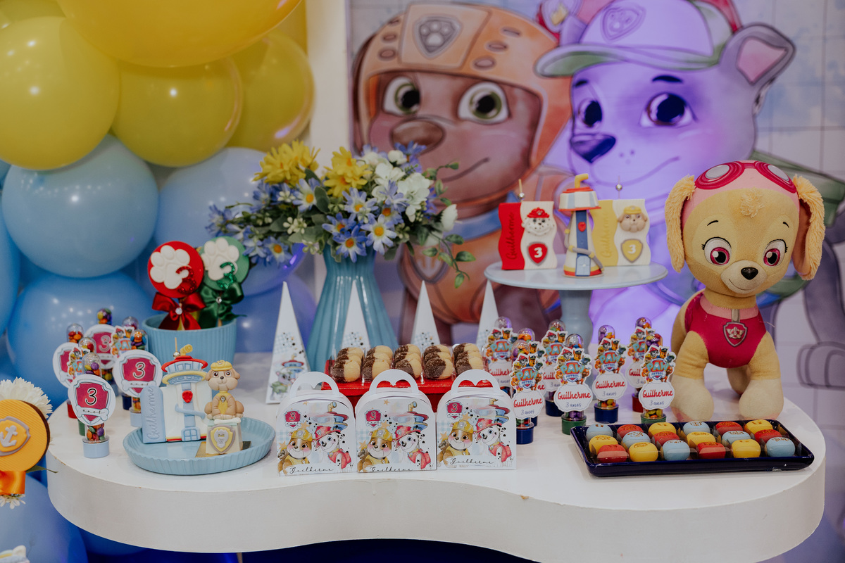 fotografo-aniversario-infantil-mogi-guacu.jpg