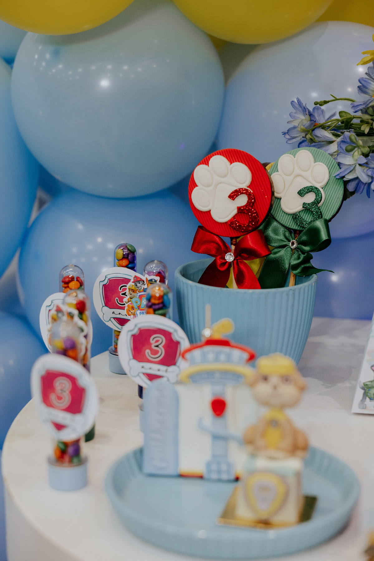 fotografo-aniversario-infantil-mogi-guacu.jpg