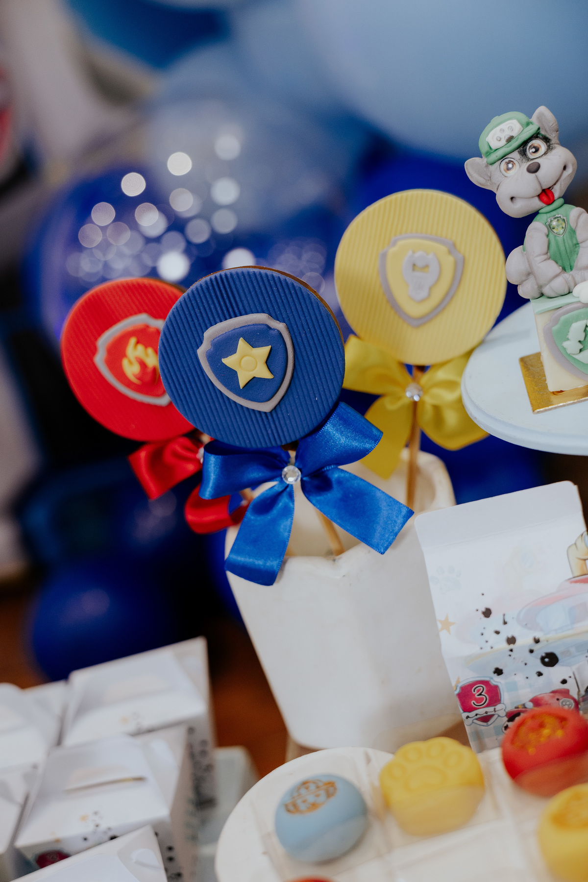 fotografo-aniversario-infantil-mogi-guacu.jpg