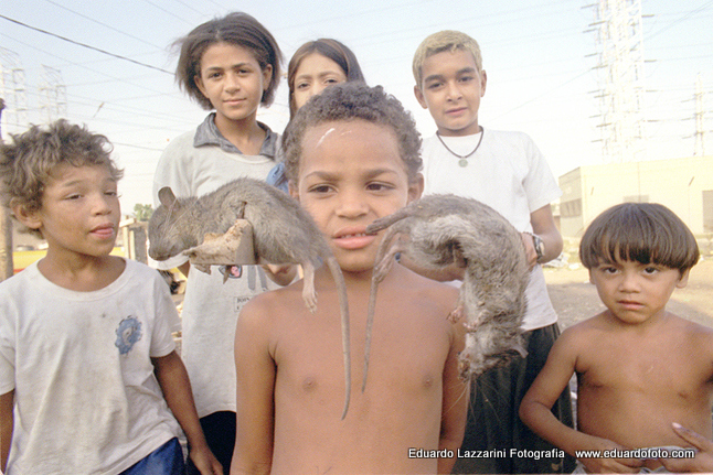 condições sanitárias normais na favela Paraguai