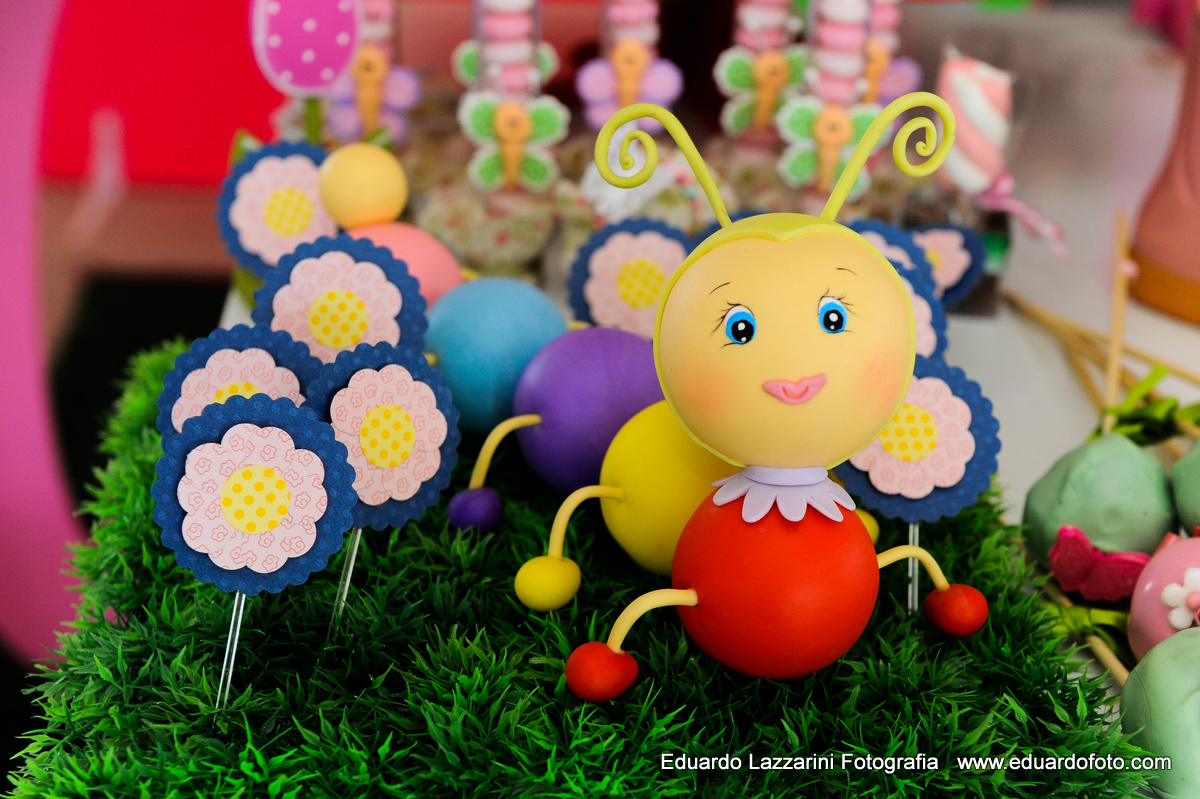 ANIVERSÁRIO TAUBATÉ Ana Clara FOTOGRAFO EDUARDO LAZZARINI FOTOGRAFO DE ANIVERSÁRIOS EM TAUBATE SP