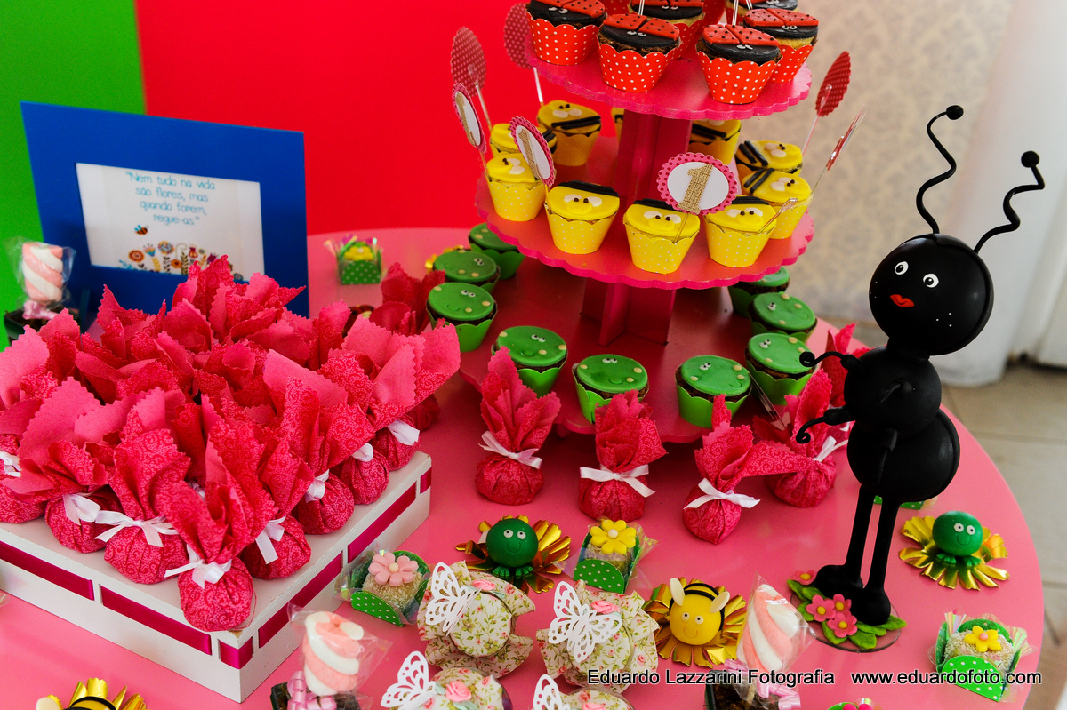 ANIVERSÁRIO TAUBATÉ Ana Clara FOTOGRAFO EDUARDO LAZZARINI FOTOGRAFO DE ANIVERSÁRIOS EM TAUBATE SP