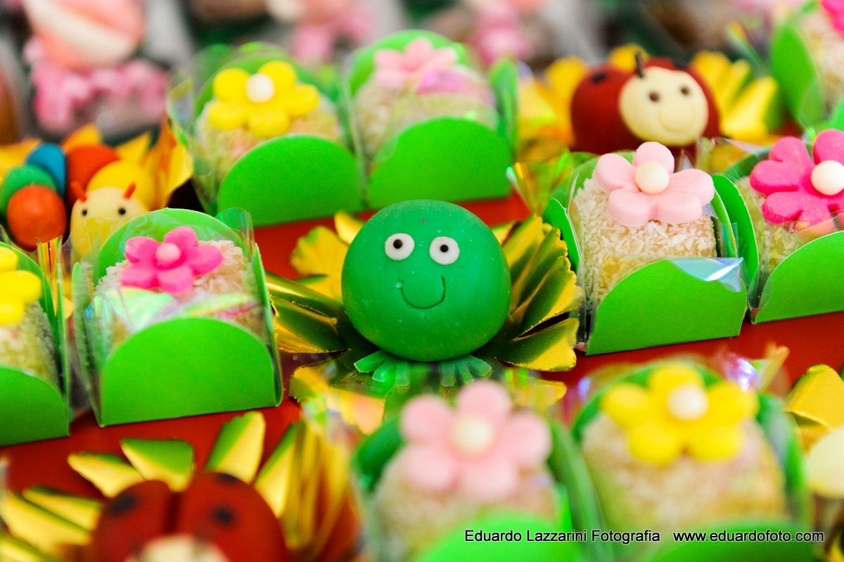 ANIVERSÁRIO TAUBATÉ Ana Clara FOTOGRAFO EDUARDO LAZZARINI FOTOGRAFO DE ANIVERSÁRIOS EM TAUBATE SP