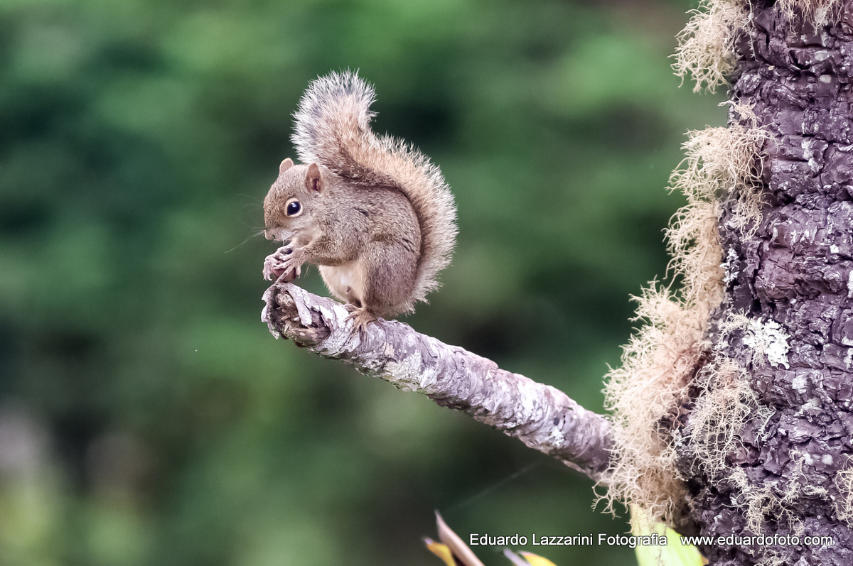 FOTOGRAFIA CORPORATIVA EMPRESARIAL TAUBATE SP FOTÓGRAFO EDUARDO LAZZARINI