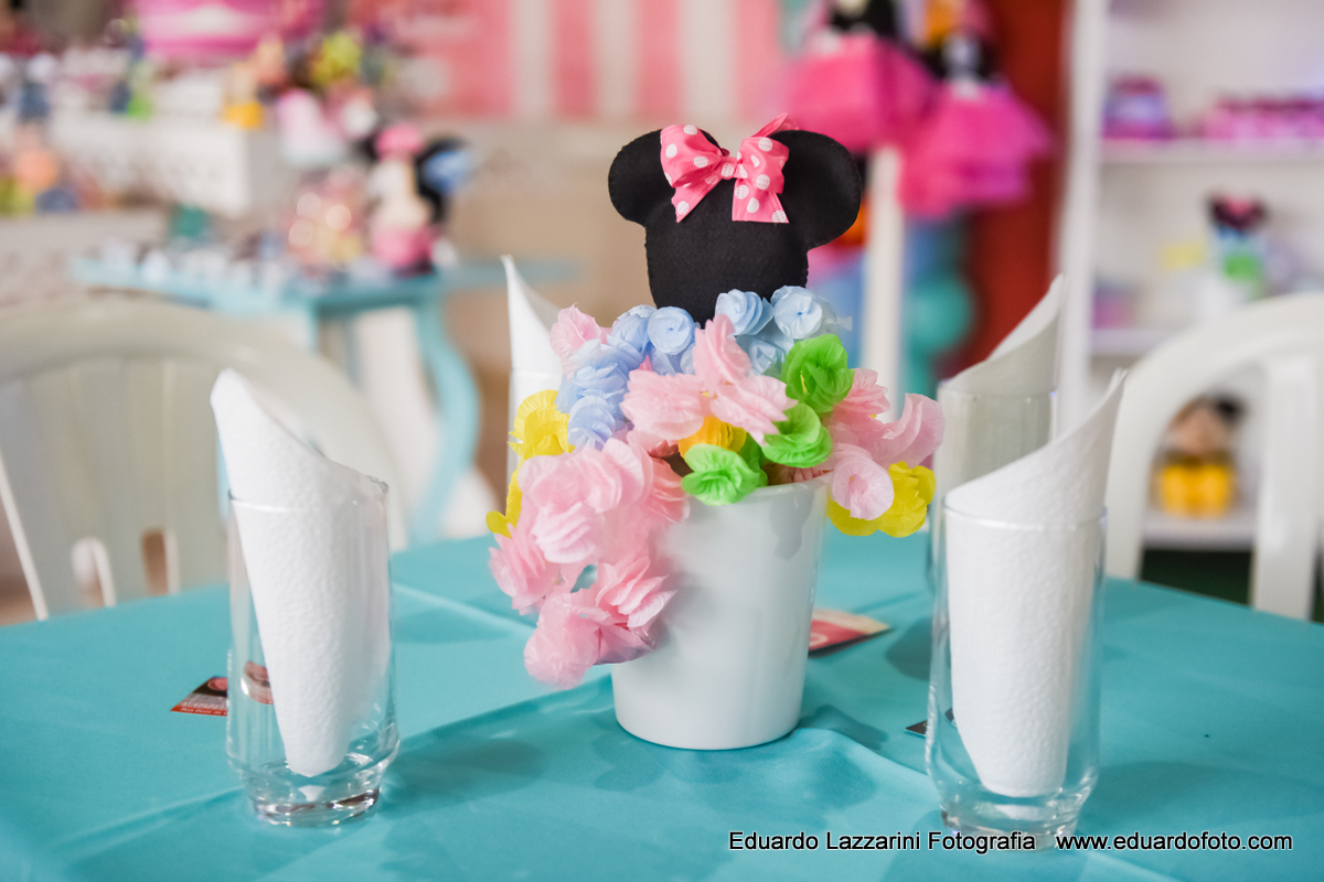 ANIVERSÁRIO TAUBATÉ Carolina 2 anos FOTOGRAFO EDUARDO LAZZARINI FOTOGRAFO DE ANIVERSÁRIOS EM TAUBATE SP