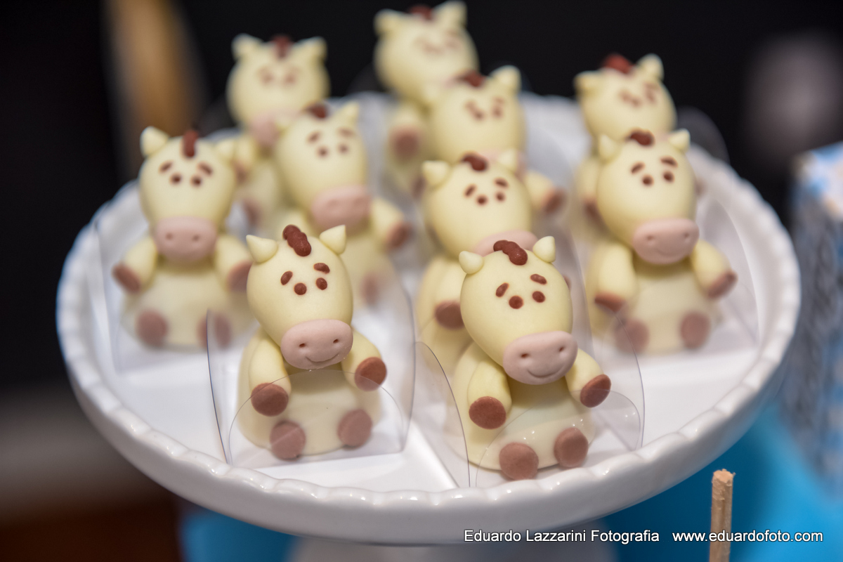 ANIVERSÁRIO TAUBATÉ Rodrigo 1 ano FOTOGRAFO EDUARDO LAZZARINI FOTOGRAFO DE ANIVERSÁRIOS EM TAUBATE SP