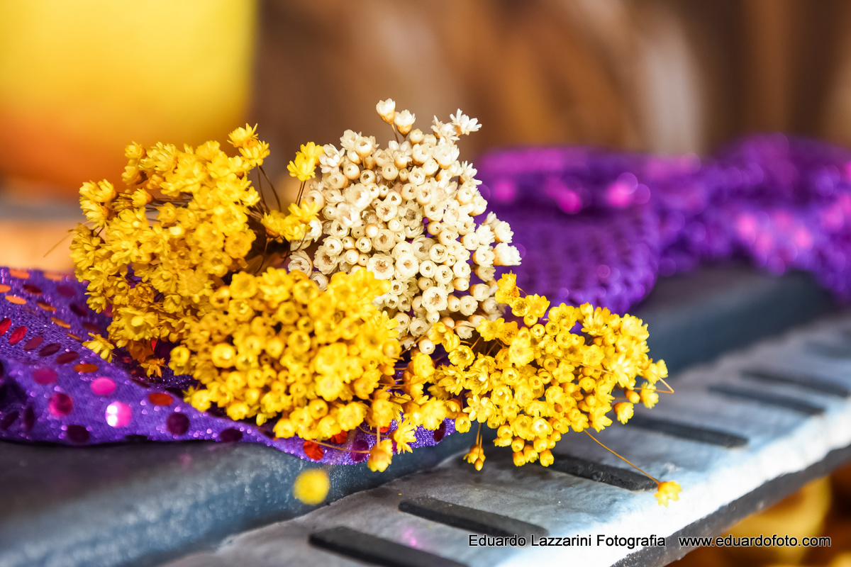 ANIVERSÁRIO TAUBATÉ Leticia 9 anos FOTOGRAFO EDUARDO LAZZARINI FOTOGRAFO DE ANIVERSÁRIOS EM TAUBATE SP