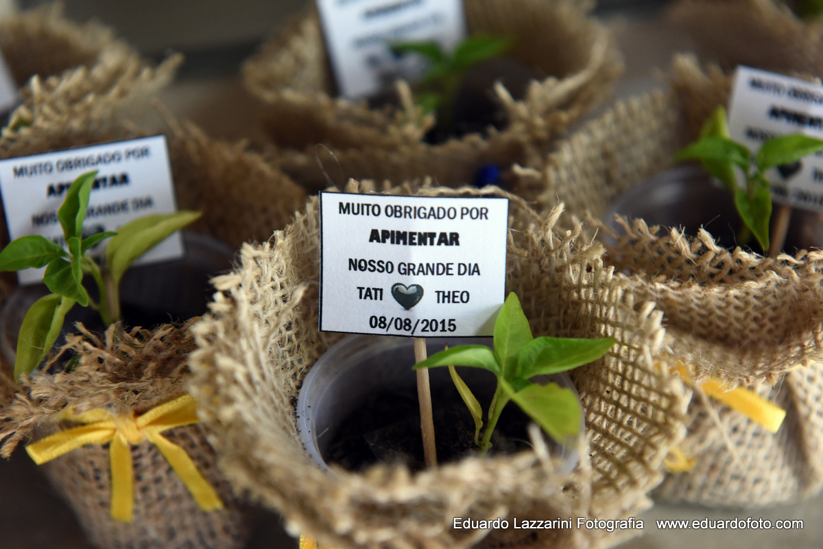 CASAMENTO TAUBATÉ Tatiana e Theo FOTOGRAFO EDUARDO LAZZARINI FOTOGRAFO DE CASAMENTOS EM TAUBATE SP
