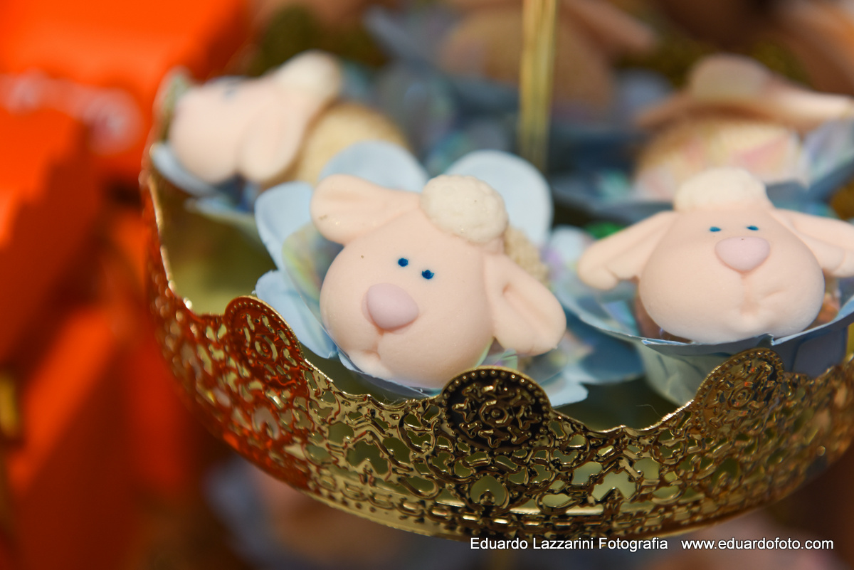ANIVERSÁRIO TAUBATÉ Gustavo 1 ano FOTOGRAFO EDUARDO LAZZARINI FOTOGRAFO DE ANIVERSÁRIOS EM TAUBATE SP