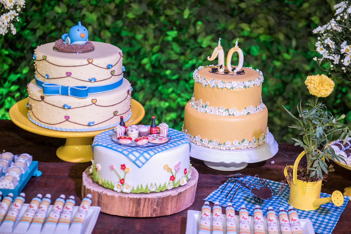 ANIVERSÁRIO TAUBATÉ Maria Clara 10 anos FOTOGRAFO EDUARDO LAZZARINI FOTOGRAFO DE ANIVERSÁRIOS EM TAUBATE SP